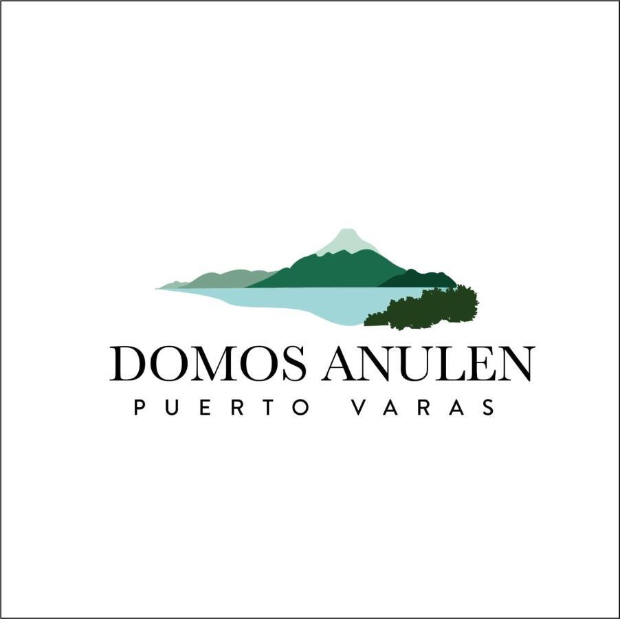 Appartement Domos Anulen à Puerto Varas Extérieur photo
