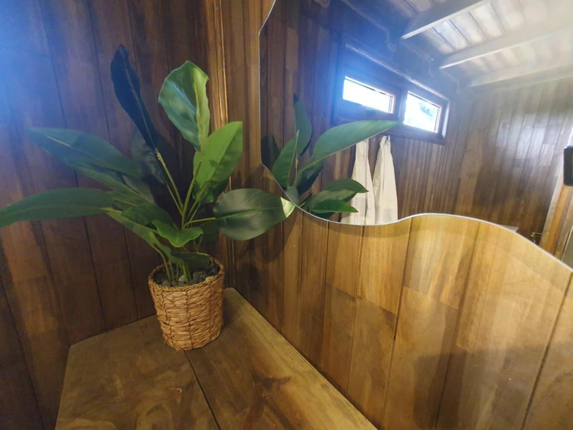 Appartement Domos Anulen à Puerto Varas Extérieur photo